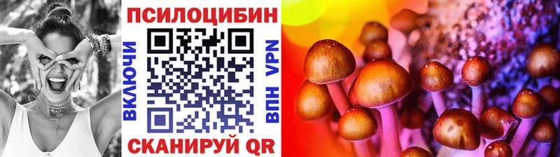Галлюциногенные грибы Psilocybine cubensis Купить где Снежинск