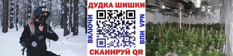 Шишки марихуана SATIVA & INDICA  Купить закладки  Снежинск 